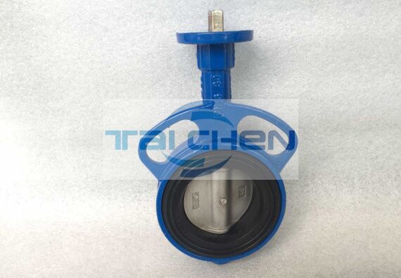 無(wú)頭對(duì)夾式軟密封蝶閥