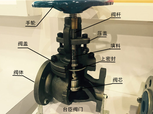 截止閥結(jié)構(gòu)示意圖、解剖圖
