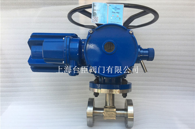 防爆電動高壓調(diào)節(jié)針型閥圖片