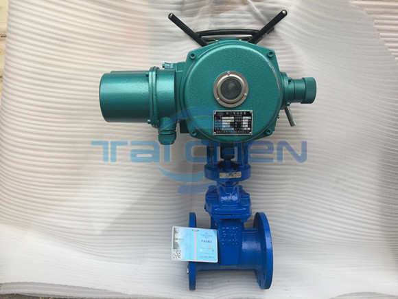 用于控制氣體的閘閥