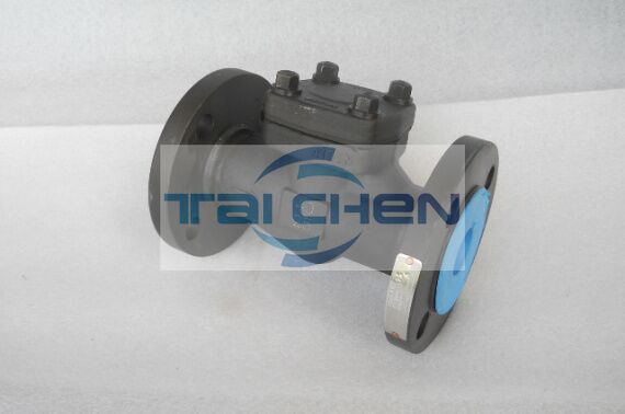 鍛鋼止回閥圖片,H41H 鍛鋼升降式止回閥案例現(xiàn)場圖片,上海臺臣閥門