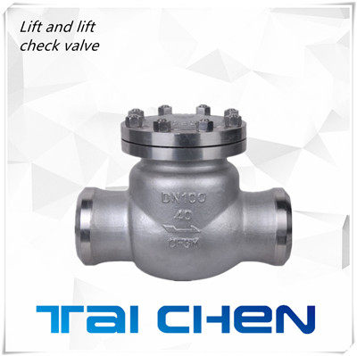 對(duì)焊止回閥圖片